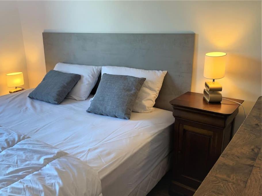 Le 828 : Appartement En Plein Centre De 瓦讷 外观 照片